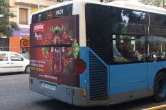 zumosol_veggies_bus_trasera